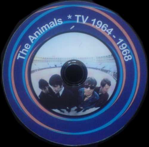 DVD-Animals - TV